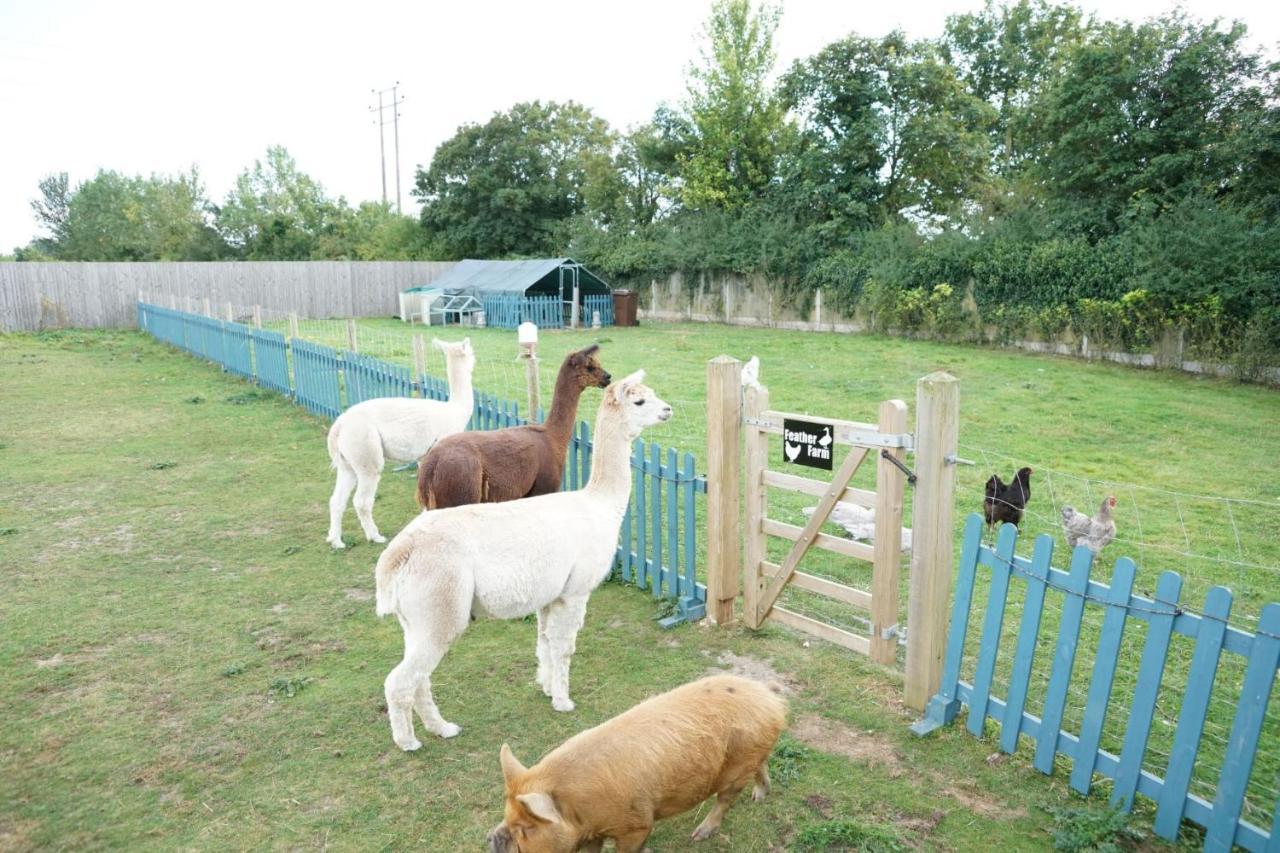 The Piggery Pod Hotel Sittingbourne Exterior photo