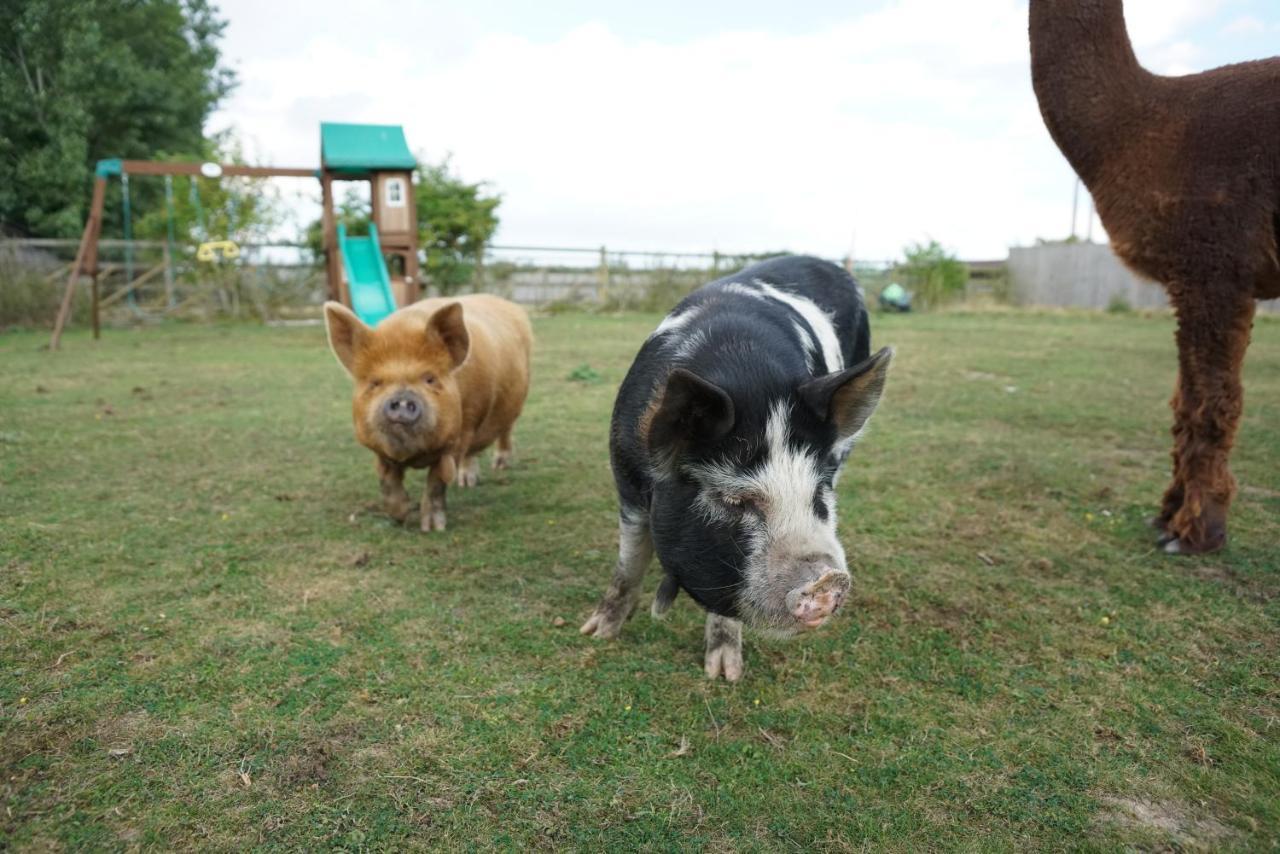 The Piggery Pod Hotel Sittingbourne Exterior photo